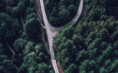 Forgreningslogik og segmentering